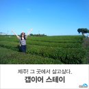 엔티에스교육관악제1지점 | [갭이어 후기] [제주 갭이어스테이] "갭이어를 통해서 새로운 세상에 눈을 띄게 되었습니다." (윤명지...