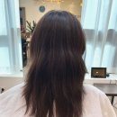 라비쏘헤어