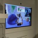 (유)한라 | 제주시 가볼만한 곳 | 넥슨컴퓨터박물관, 한라디지털아트뮤지엄 방문후기 | 내돈내산