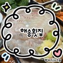 해송족발 | [해송횟집]주문진 수산시장 회포장 전문점 추천...나오는 오마카세 모둠회 솔직후기, 강릉 여행 회맛집