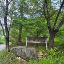 엔학고레 | [공주 카페] 숲속 동화 같은 저수지 뷰 힐링 핫플 '엔학고레' 내돈내산 솔직후기