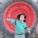 나래목장 Daum카페