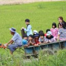 합천 대병초 식사랑 농사랑 체험학습 이미지