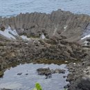 홍씨네 민박 이미지