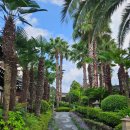 정방연로 | 제주도 여행 때마다 가는 제주 호텔 추천 한옥호텔 한라궁 월화전 내돈내산 숙박 후기