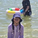 동아대하이태권도 이미지