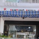 삼양동물병원 | 강아지 동반입국ing(호치민에서 한국, #푸미흥삼양동물병원)