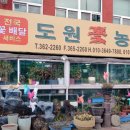 도원플라워