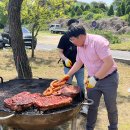 홍성군청(축산과) Daum카페