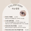 연티끄 이미지