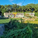 동문경농협산북주유소 | 중년남자, 오토바이, 여행(단양 8경을 찾아 - 5편/블로그, 집으로)