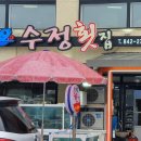 녹동항횟집 이미지