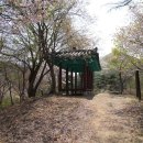 약수고을 이미지