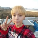 캐럿 - 전주시 완산구 홍산로 246 | 캐럿