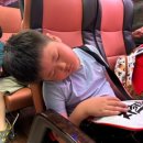 차돌체육관 이미지