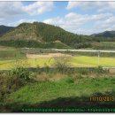 용포마을 이미지