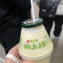 시티목욕탕 | 서울 겨울 실내 가볼만한곳 스타렉스 굿모닝시티점 사우나 목욕탕 후기