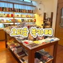 종로 광화문 북카페 추천 오티움 후기 | 공부·작업하기 좋은 조용한 카페