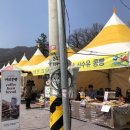 산수유아뜰리에 | [봄나들이] 이천 산수유축제