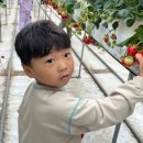 하당농장 이미지