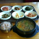 동강의낙원 이미지