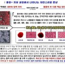 산소황