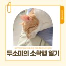 인사이드비(B)