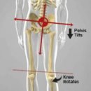 JL fitness 이미지