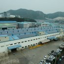 성우 태양광발전소 이미지