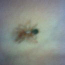 화니농장 이미지