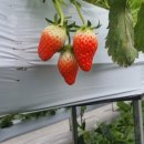 재인농장 이미지