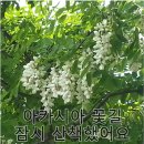 장충떡볶기
