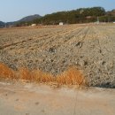 금당면-1 이미지