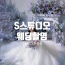 파랑스튜디오 | 웨딩 스튜디오 촬영 후기 화사한 꽃배경과 무료 로드씬 s스튜디오 추천