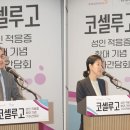 한국릴리 유한회사 이미지