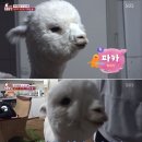 병훈농장 이미지