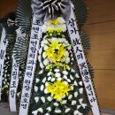 조앤조연합치과의원 이미지