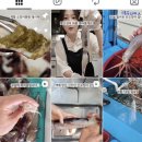 활 | 활오징어 택배 후기 신선만 오징어회 오징어통찜 내돈내산