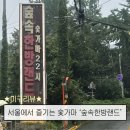 랜드숲 | 서울에서 숯가마를 즐길 수 있는 ‘숲속한방랜드’후기, 탕과 가까운 옷장 번호 추천