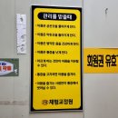 고양체형피부관리실