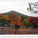 만추공 이미지