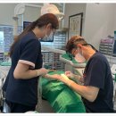 프라임치과의원 이미지