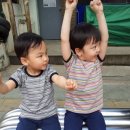 제일유치원(휴원) 이미지