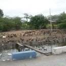 천마리농장 이미지