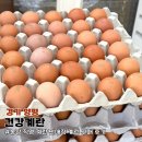 제이농장 | 양평 농장직영 계란맛집 건강계란, 유정쌍란 구매 후기
