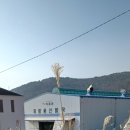 기장군재활용선별장 이미지