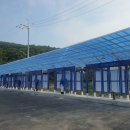 율전버스 이미지