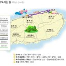 영어조합법인 청정제주 이미지