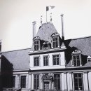 유엔빌리지치과의원 | 한남동 나들이: 알부스갤러리(티보 에렘)/ 타르틴/ 아날로그키친