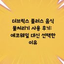 에코플러스 | 더브릭스 플러스 음식물처리기 사용 후기: 에코웨일 대신 선택한 이유